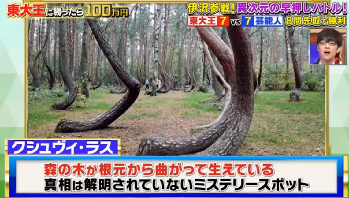 早押し解答14.png